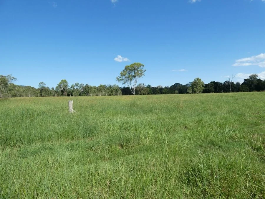 Additional image 33 of 1097 Blackman Gap Road, Colosseum QLD 4677