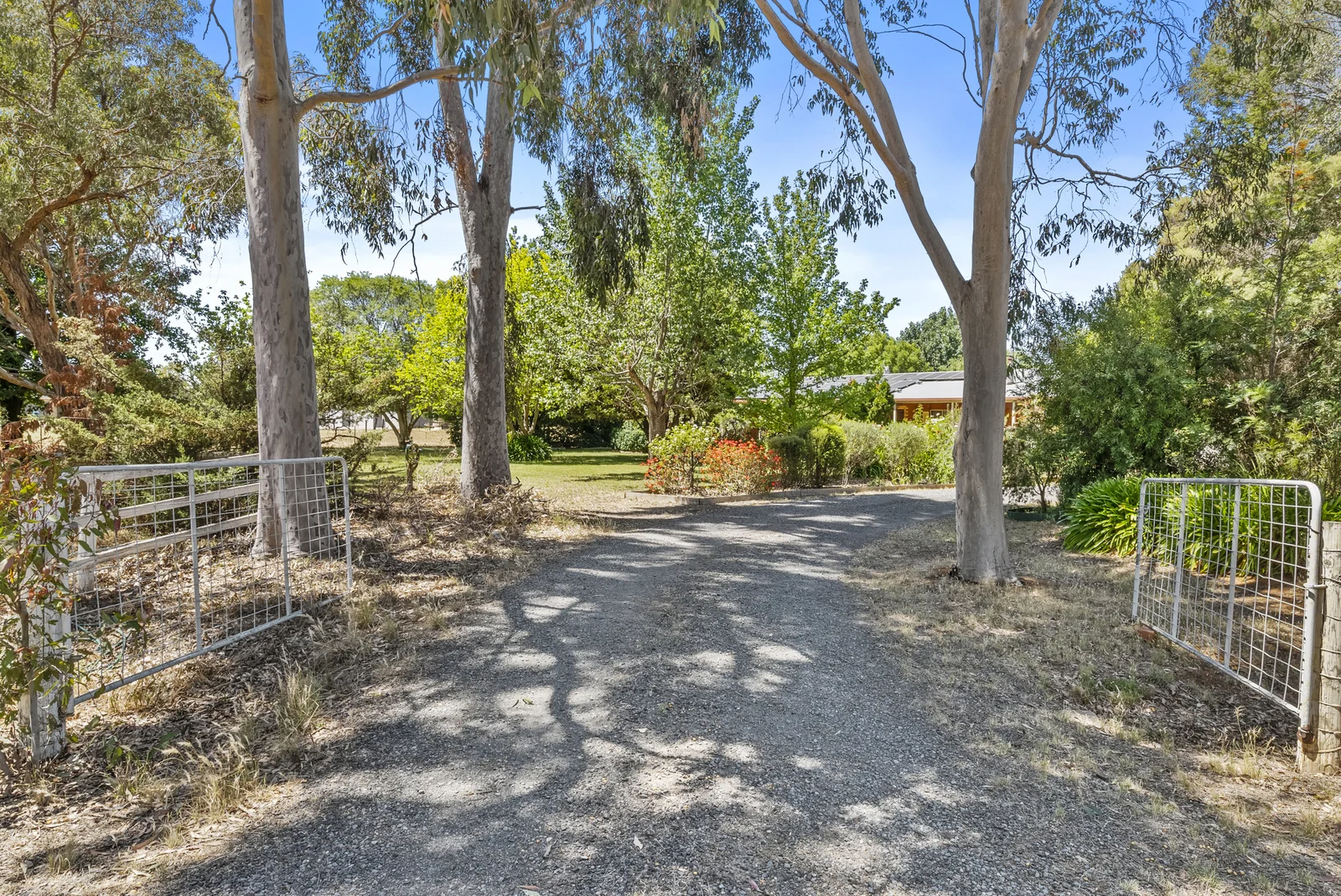 Additional image 28 of 1225 Katamatite-Shepparton Road, Invergordon VIC 3636