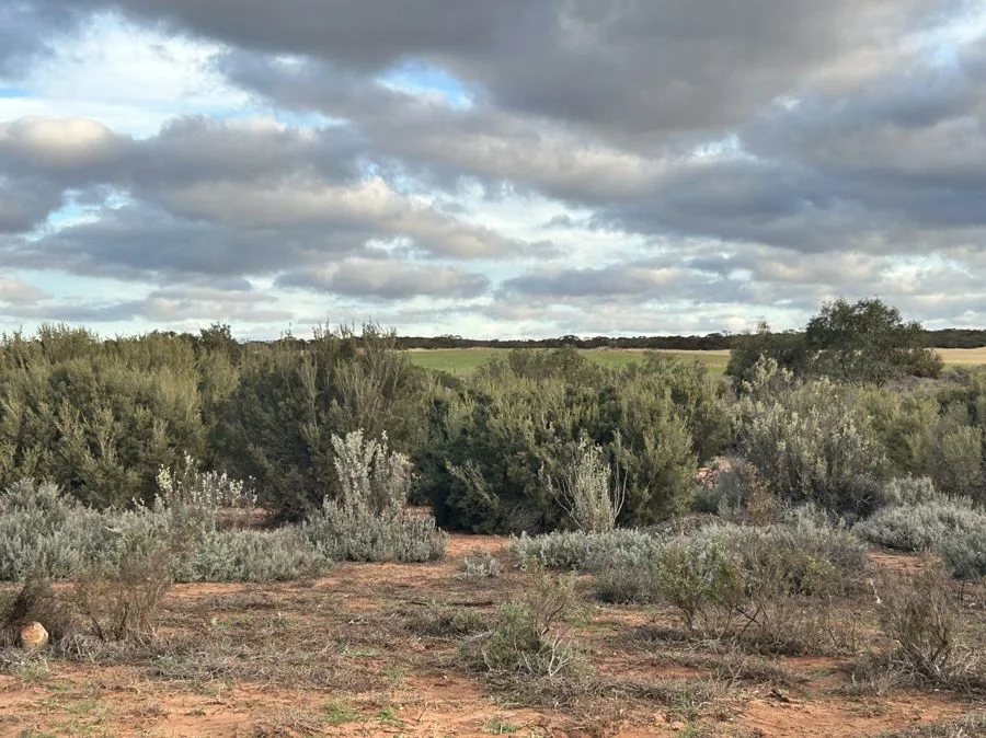 Additional image 6 of Section 15 Glynn Road, Minbrie SA 5602