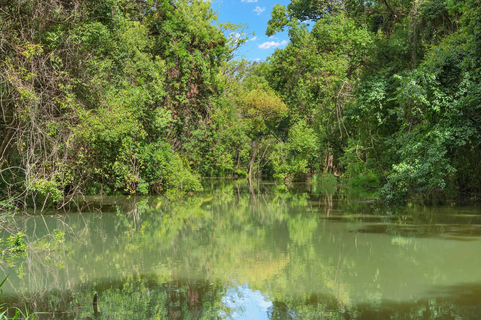 Additional image 15 of 38 Azalea Street, Mullumbimby NSW 2482