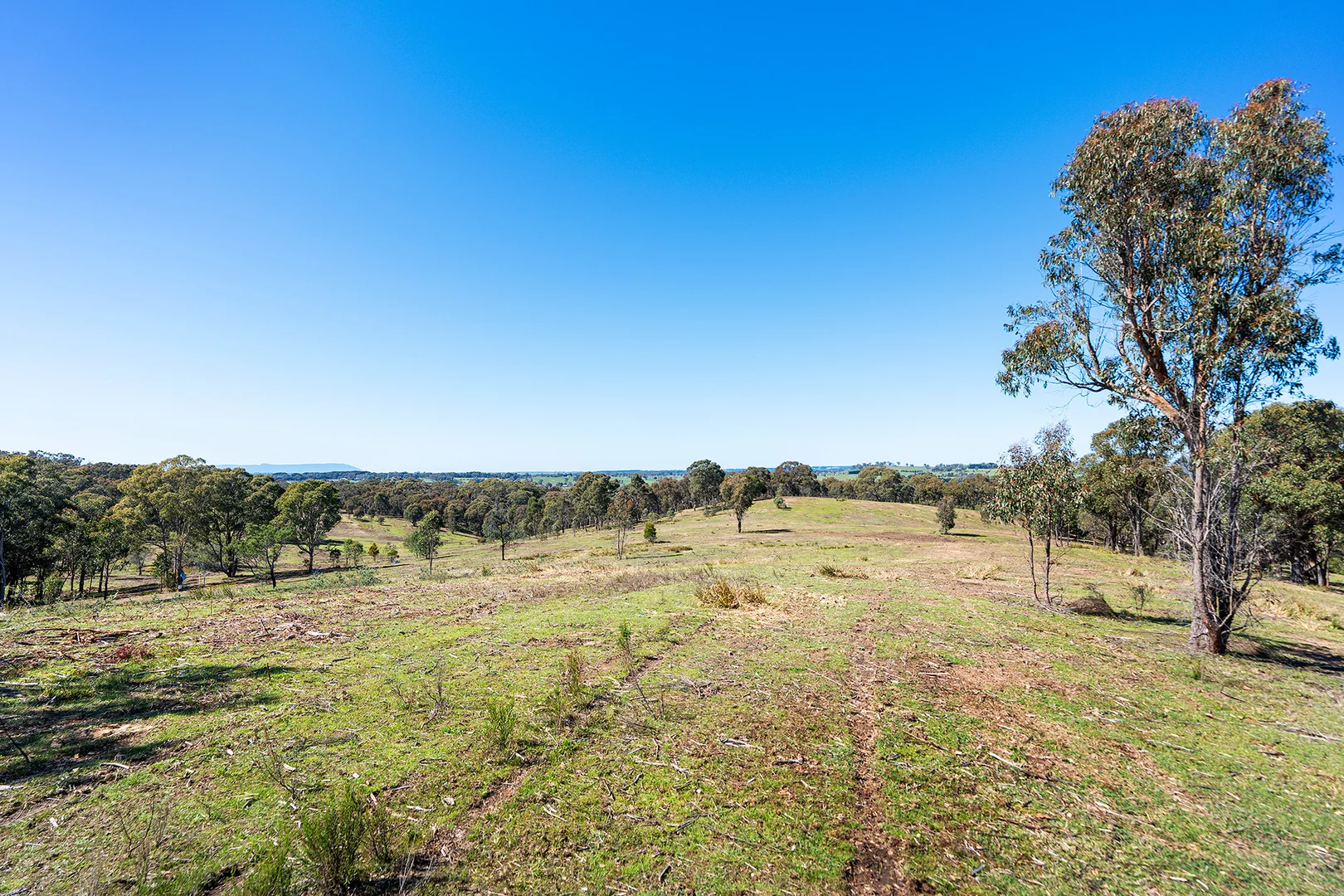 Additional image 15 of 255 Taradale Road, Drummond North VIC 3446