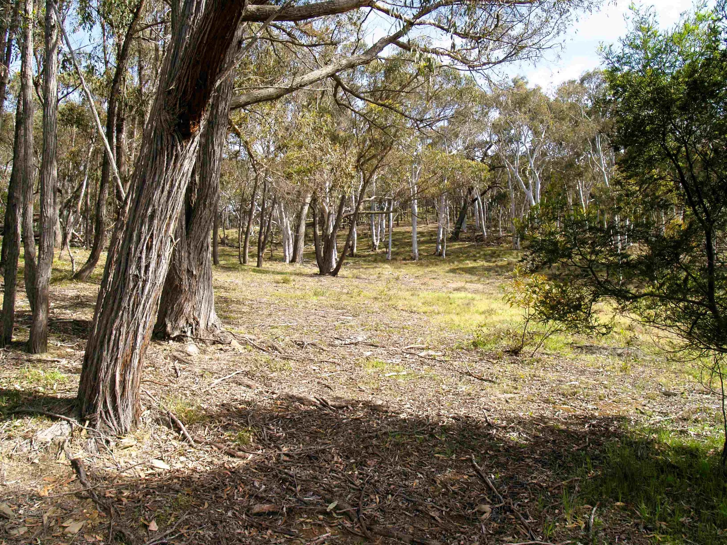 Additional image 17 of 198 Wurungul Lane, Gundaroo NSW 2620