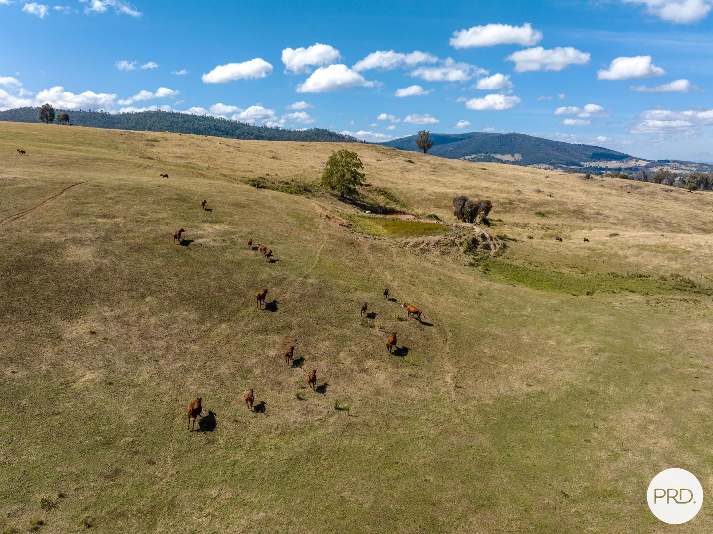Additional image 38 of 1100 Batlow Road, Tumbarumba NSW 2653