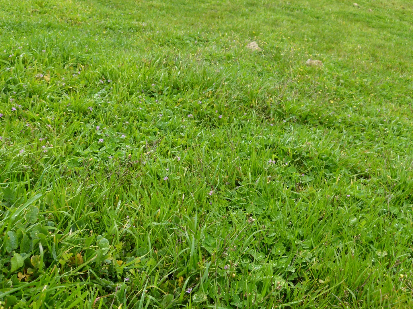 Additional image 13 of 1683 Canunda Frontage Road, Tantanoola SA 5280