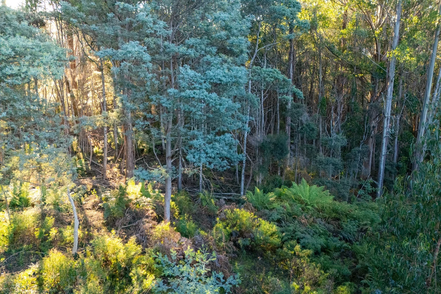 Additional image 7 of Lot 6 Paddys Lane, Franklin TAS 7113