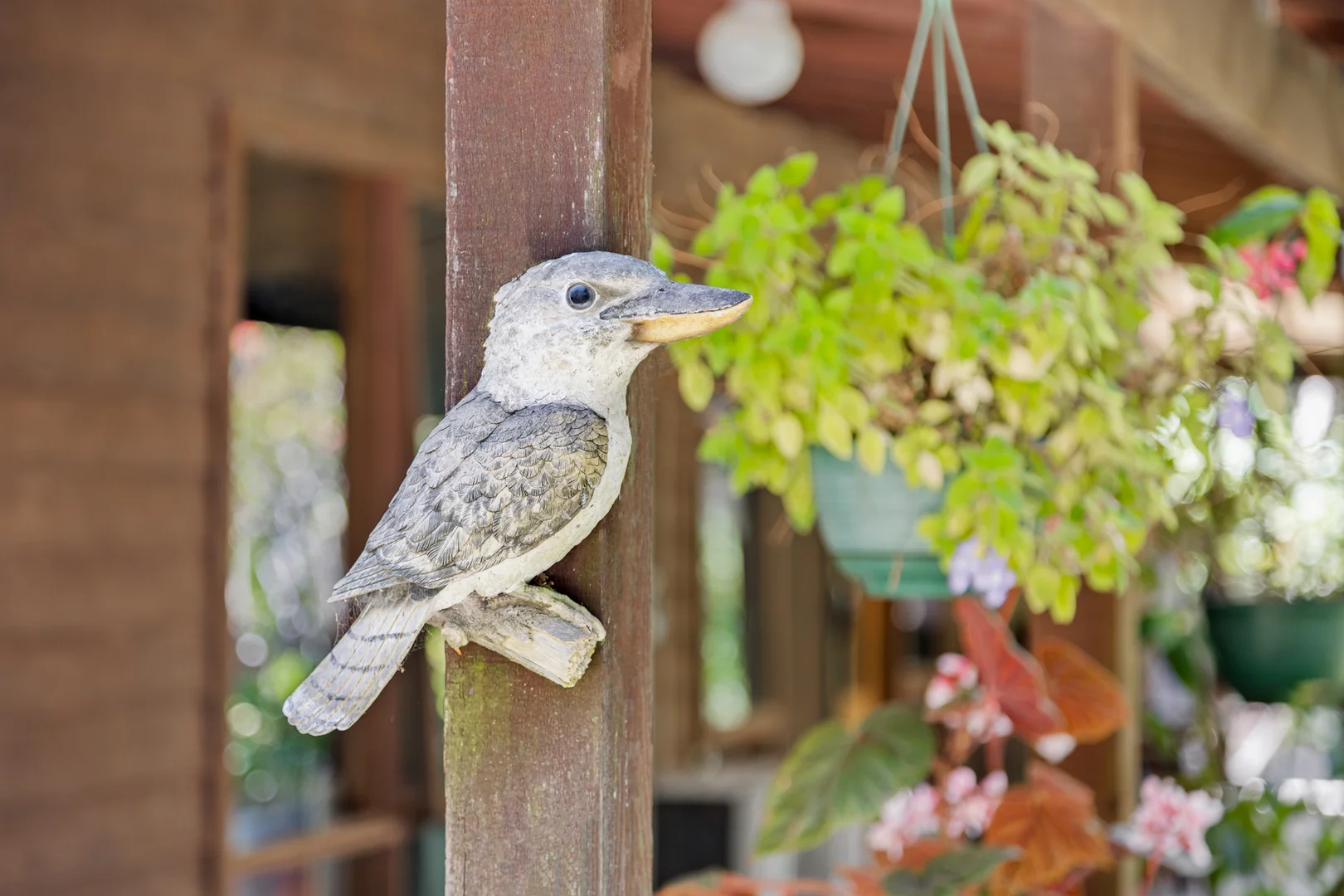 Additional image 19 of 1249 Congo Road, Moruya NSW 2537