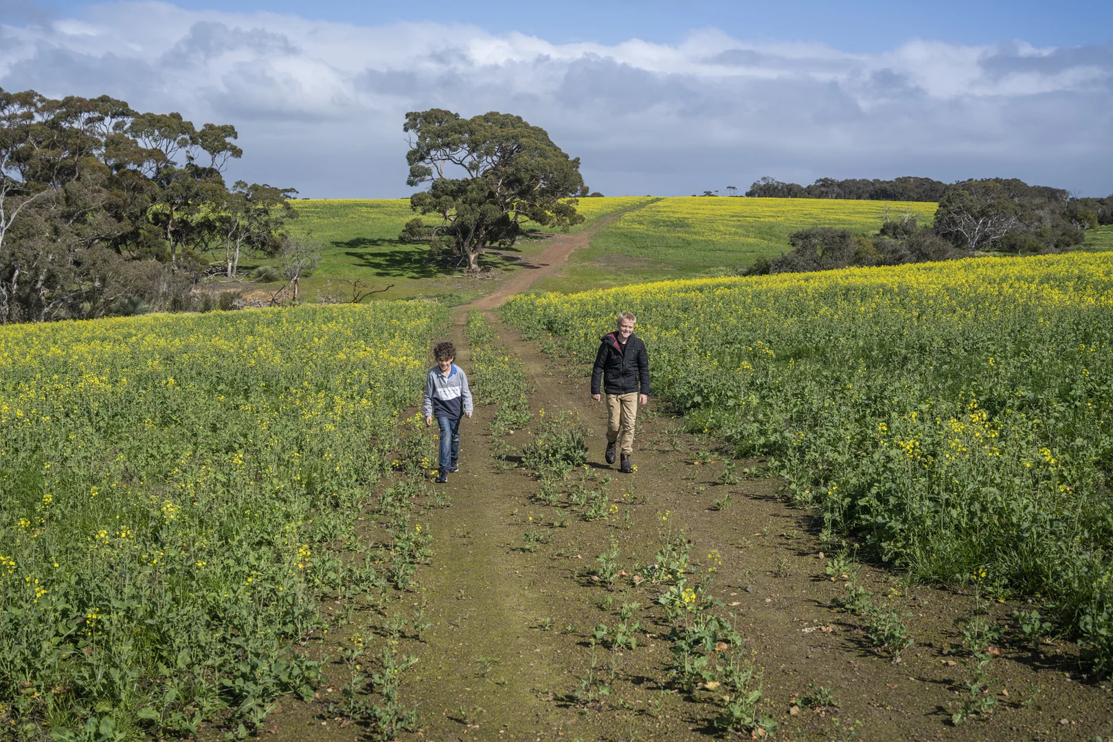 Additional image 20 of 490 East West Two Highway, Seddon SA 5223