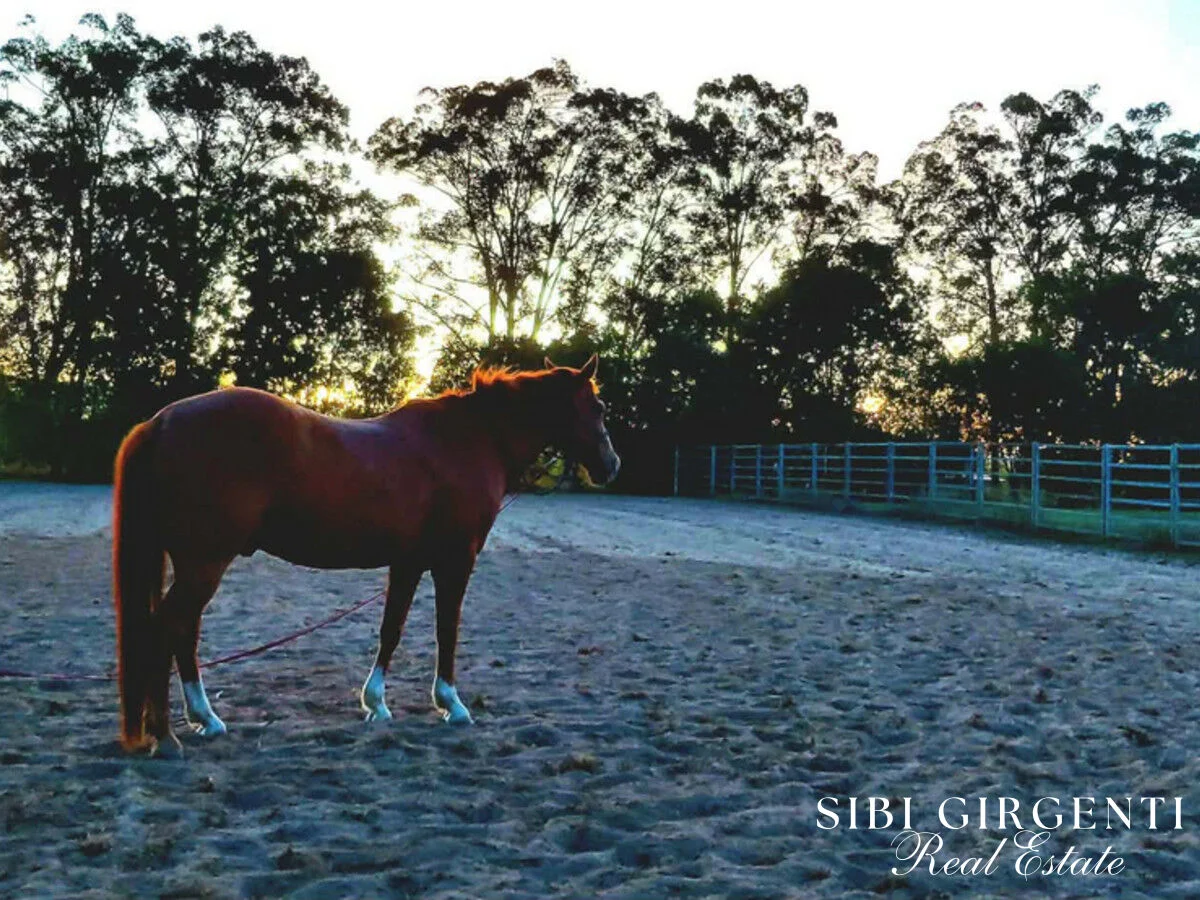 Additional image 27 of 386 Koah Road, Koah QLD 4881