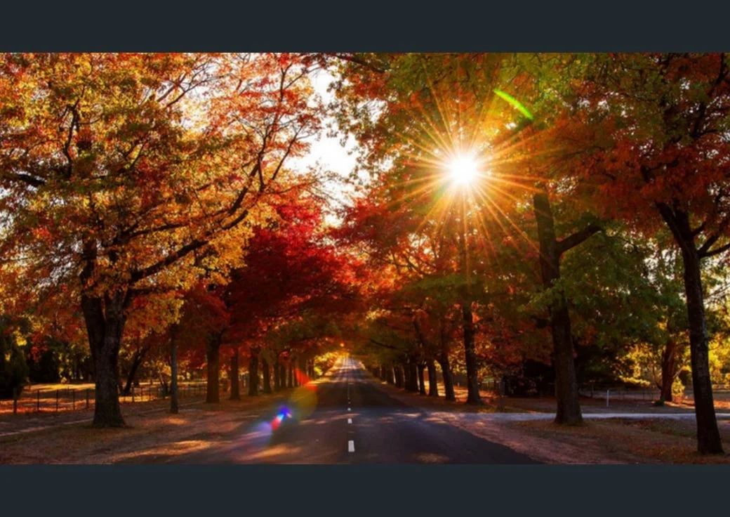 Additional image 11 of Ambrosia Estate, Kyneton VIC 3444