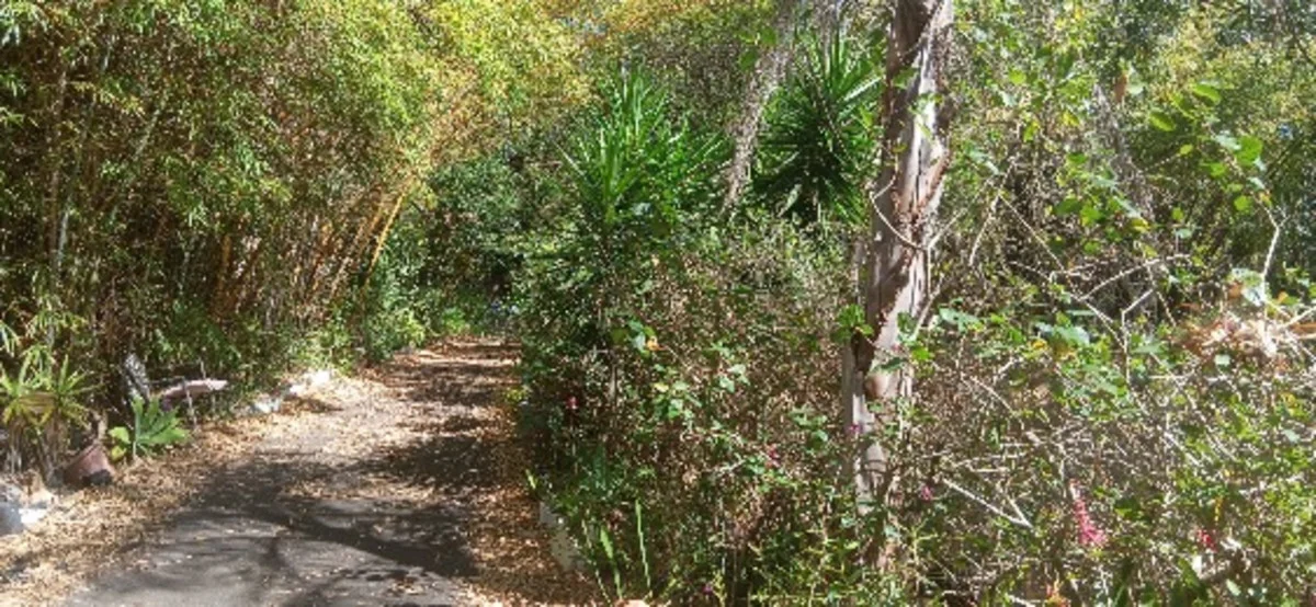 Additional image 8 of 1 Top End Mines Road, Torbanlea QLD 4662