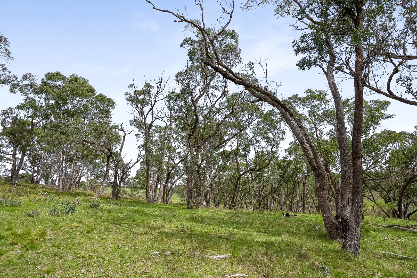 Additional image 9 of 4 Grandview Place, Portland NSW 2847