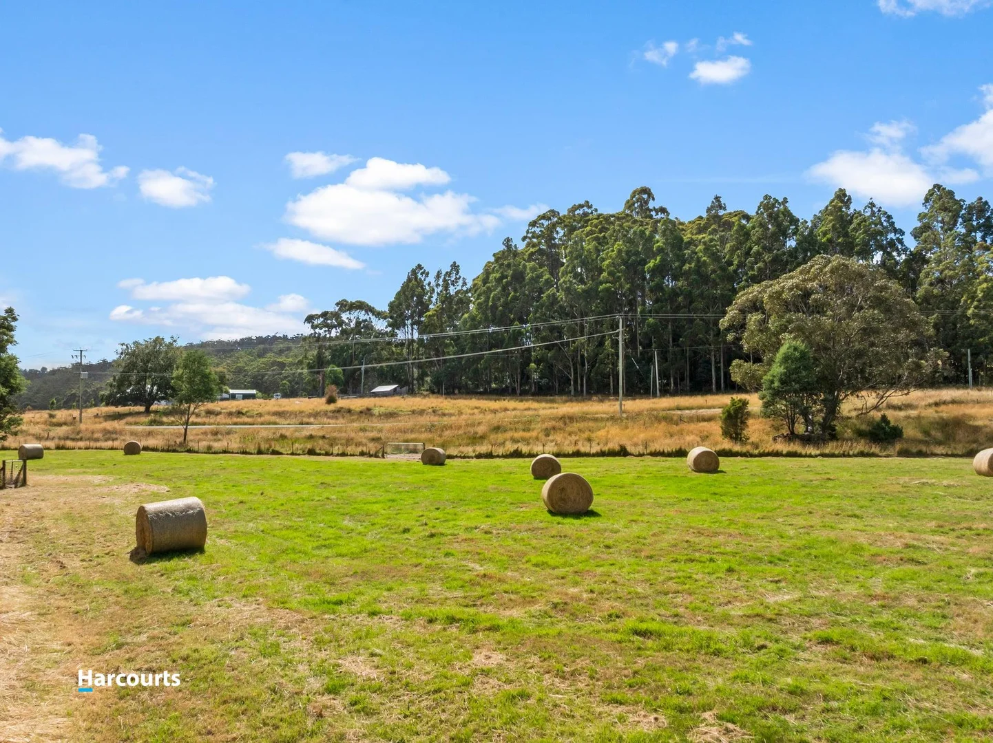 Additional image 6 of Lot 1 Rileys Creek Road, Geeveston TAS 7116