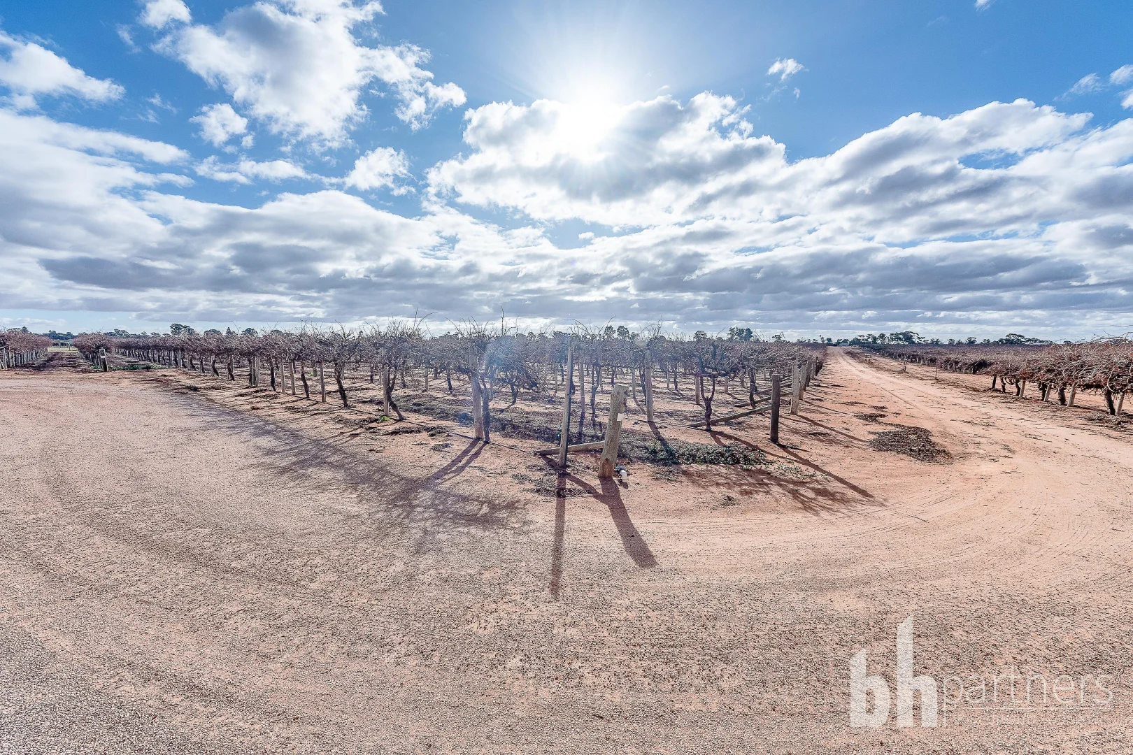 Additional image 26 of 254 Dunstone Road, Barmera SA 5345