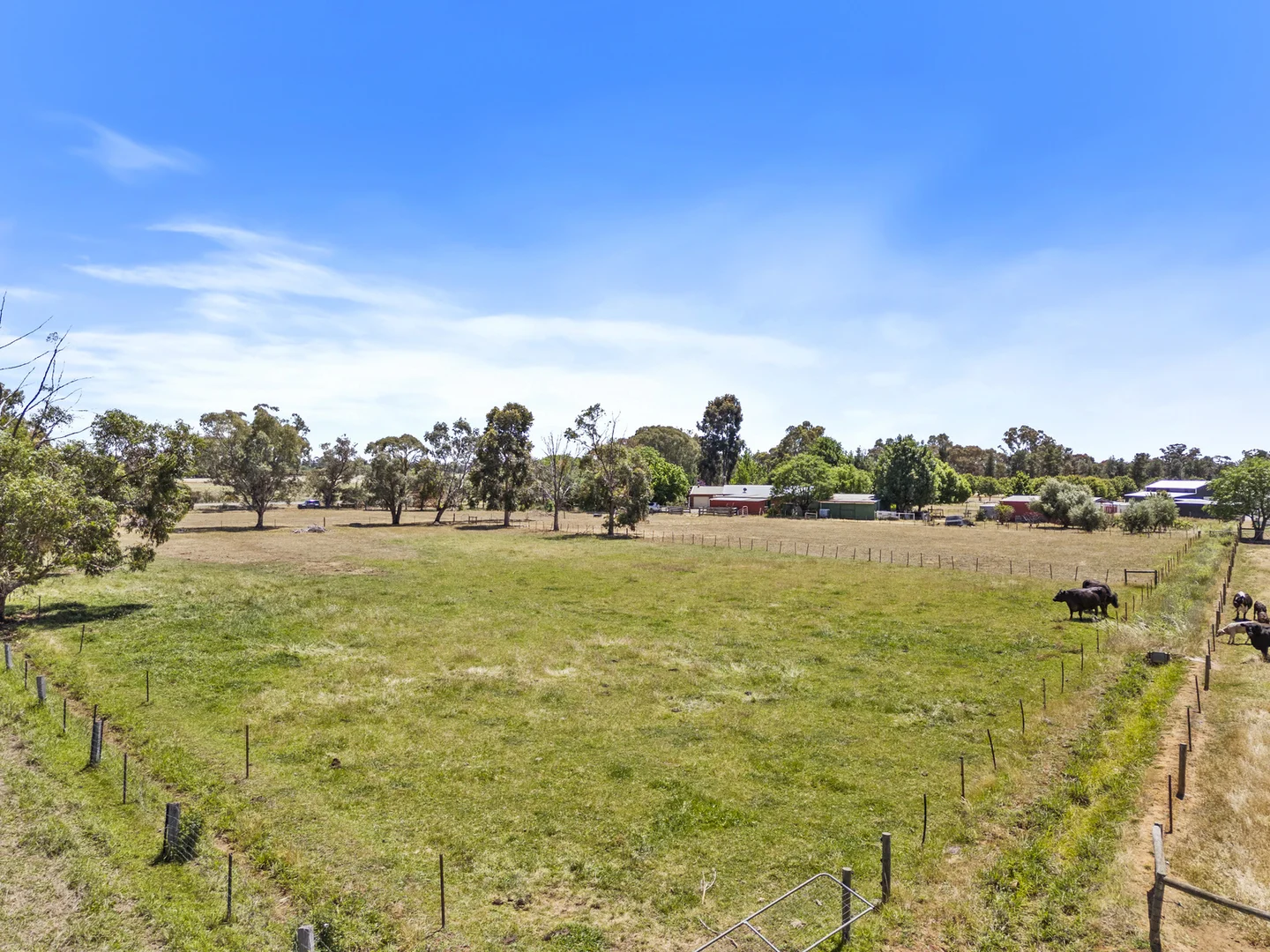 Additional image 29 of 1225 Katamatite-Shepparton Road, Invergordon VIC 3636