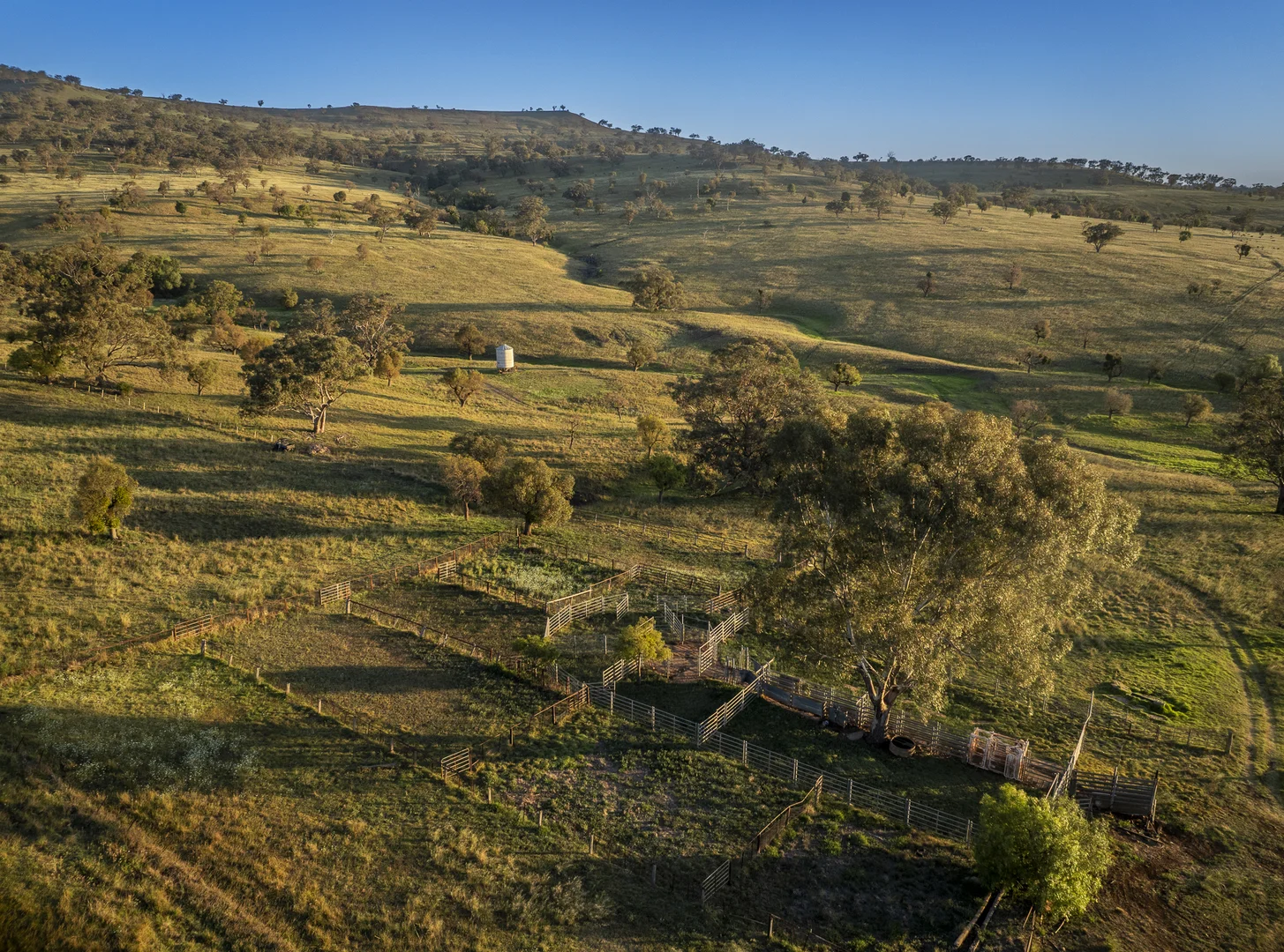 Additional image 22 of 'Mountainside' 250 Mountain Side Road, Coolah NSW 2843