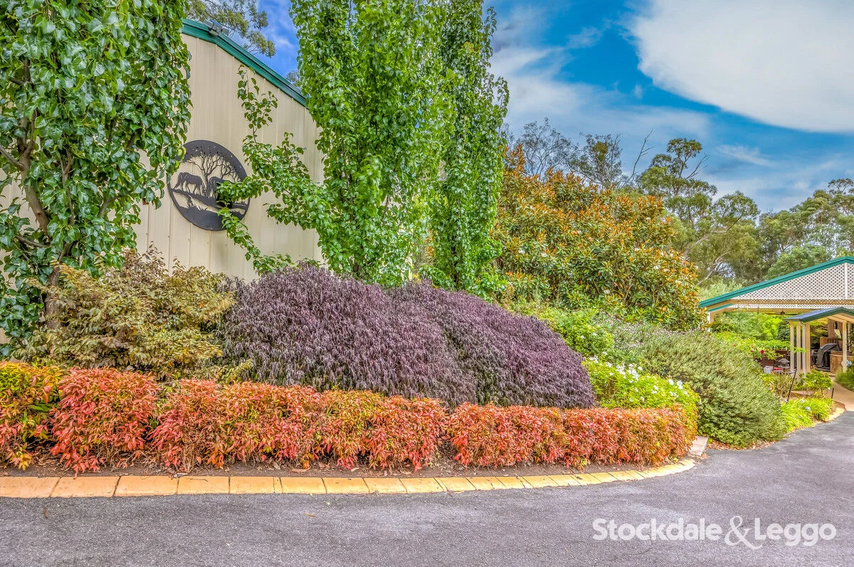 Additional image 40 of 415 Traralgon Balook Road, Callignee VIC 3844