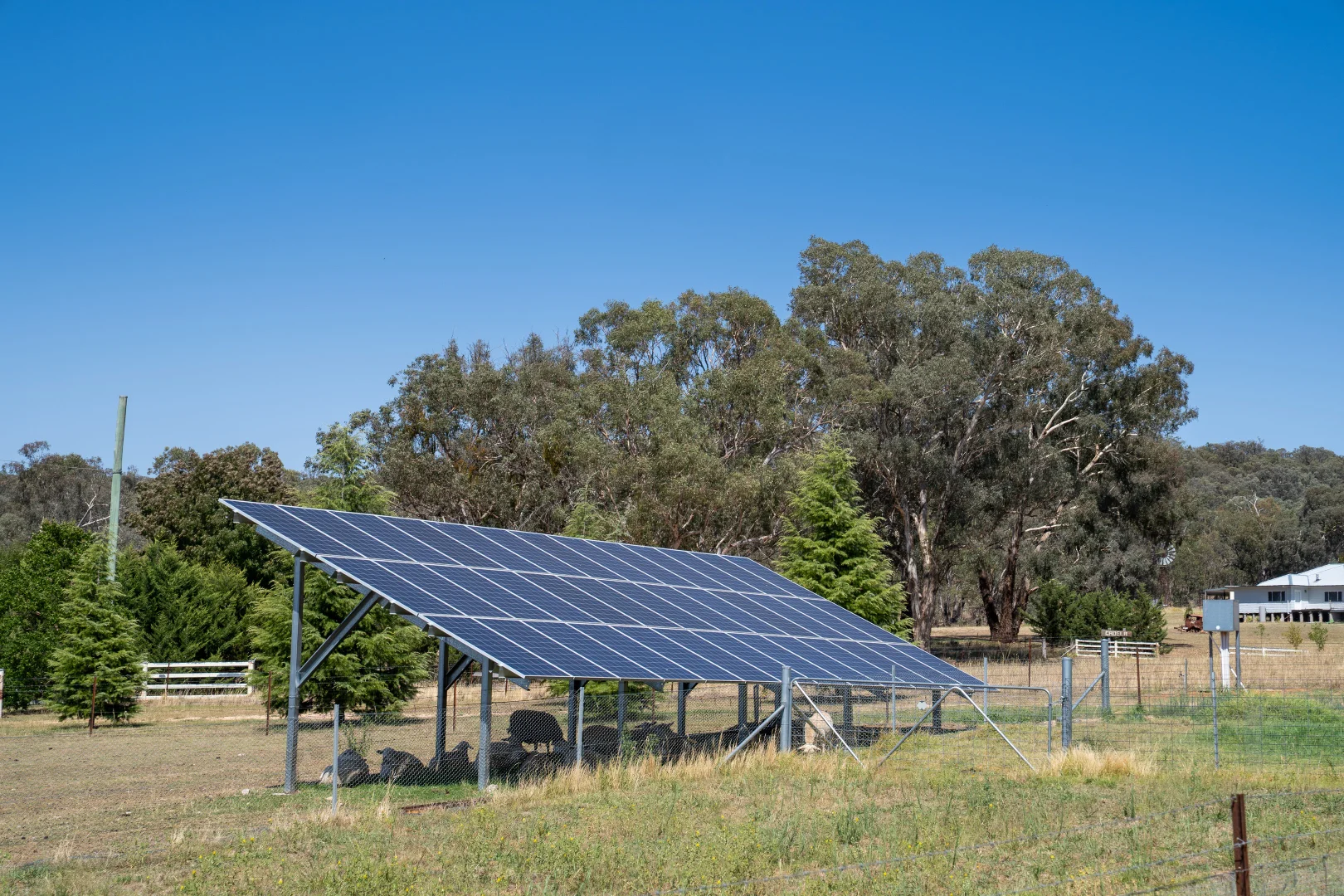 Additional image 18 of 1237 Peabody Road, Molong NSW 2866