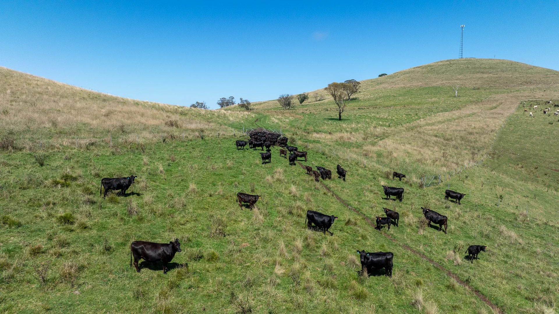 Additional image 7 of 1763 Wongwibinda Road, Armidale NSW 2350