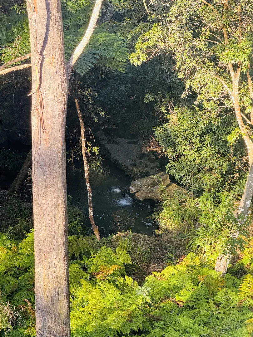 Additional image 18 of 6 Blair Place, St Ives NSW 2075