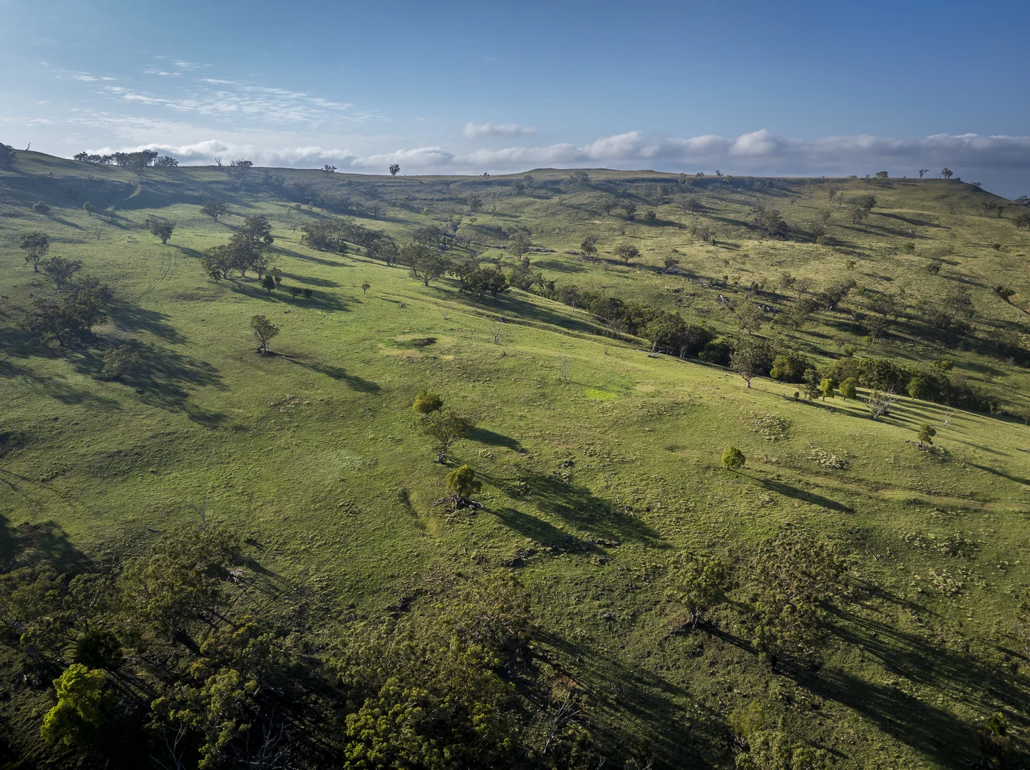 Additional image 32 of 'Mountainside' 250 Mountain Side Road, Coolah NSW 2843