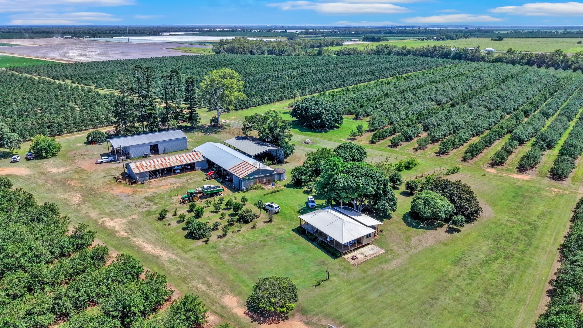 Additional image 6 of 195 Pashleys Road, Welcome Creek QLD 4670