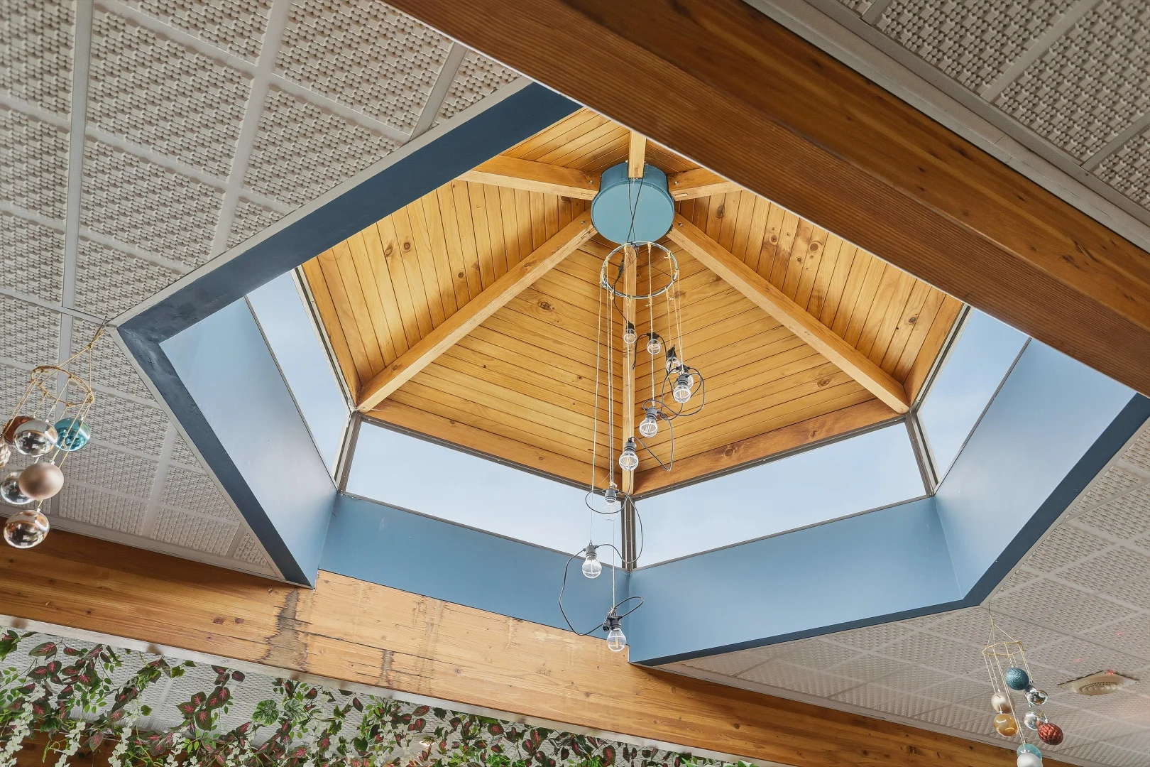 Additional image 17 of 33/23 Elourea Street, Riverside TAS 7250