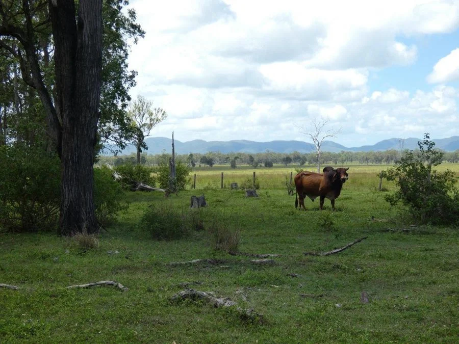 Additional image 17 of 277 Bushlands Road, Bororen QLD 4678