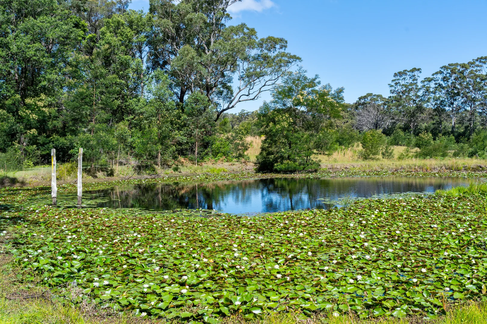 Additional image 12 of 106C Porters Creek Road, Yatte Yattah NSW 2539