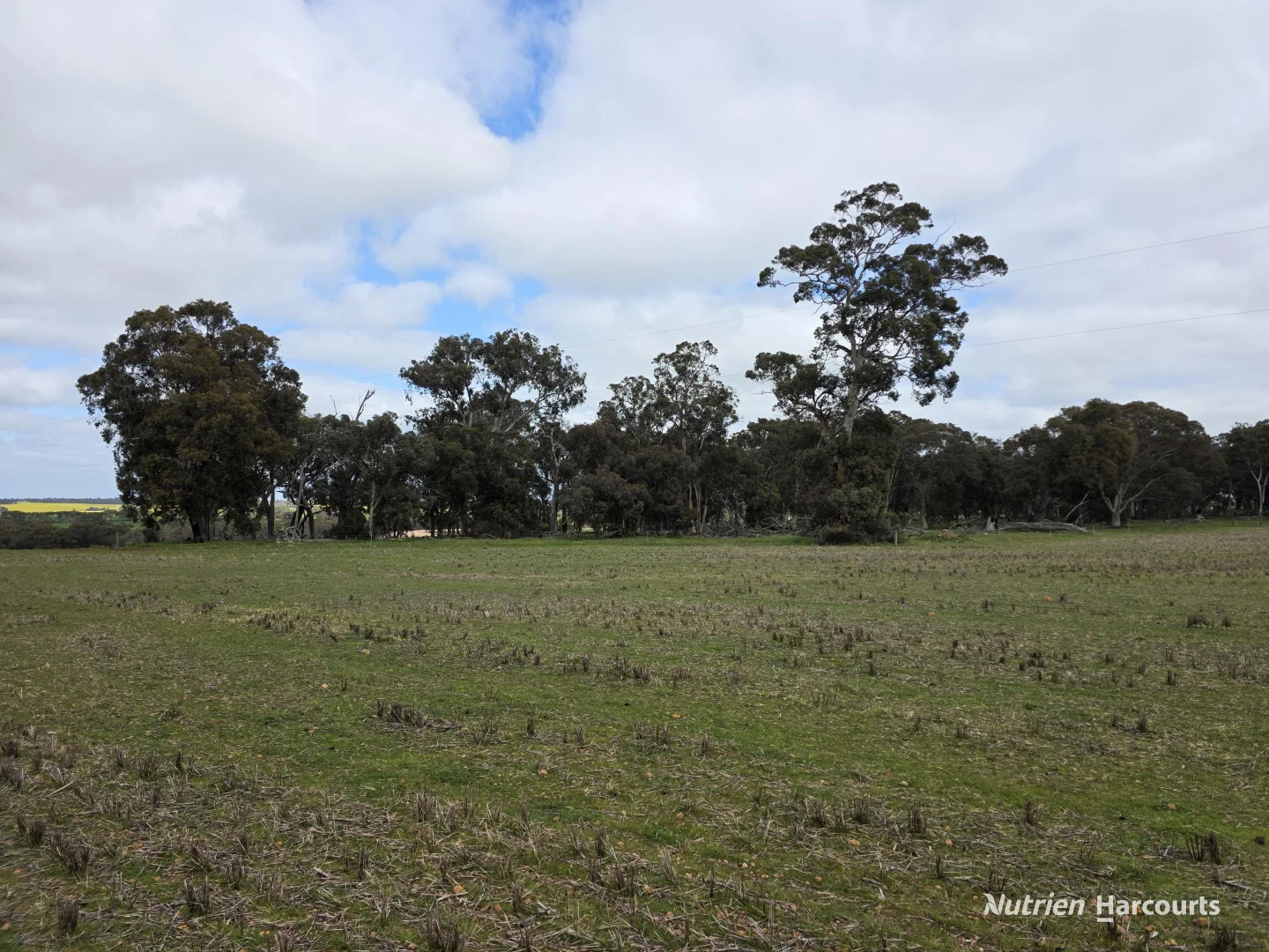 Additional image 19 of Lot 347 Yarralena Road, Cranbrook WA 6321