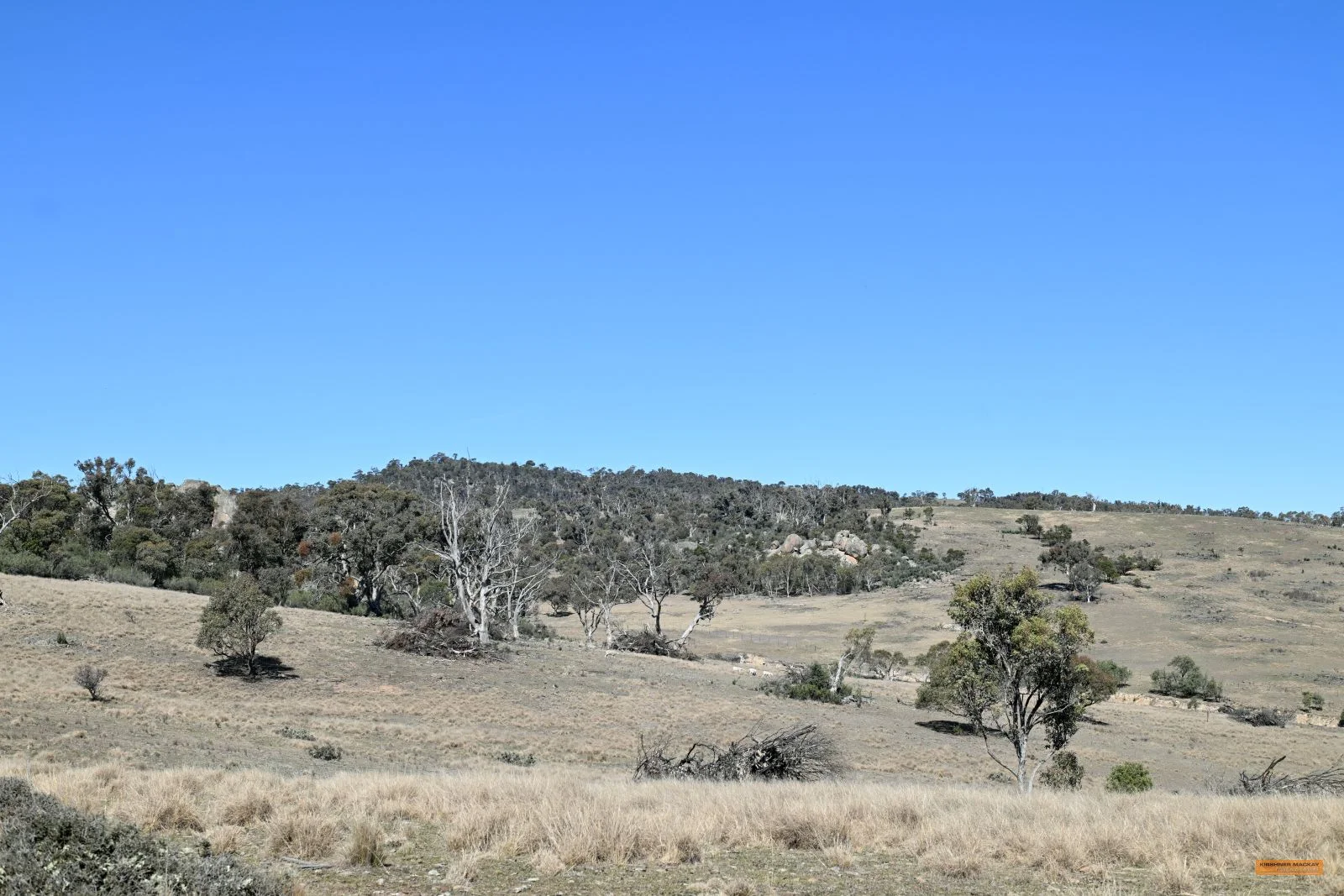 Additional image 4 of "The Top Paddock" Bairds Crossing Road, Dalgety NSW 2628