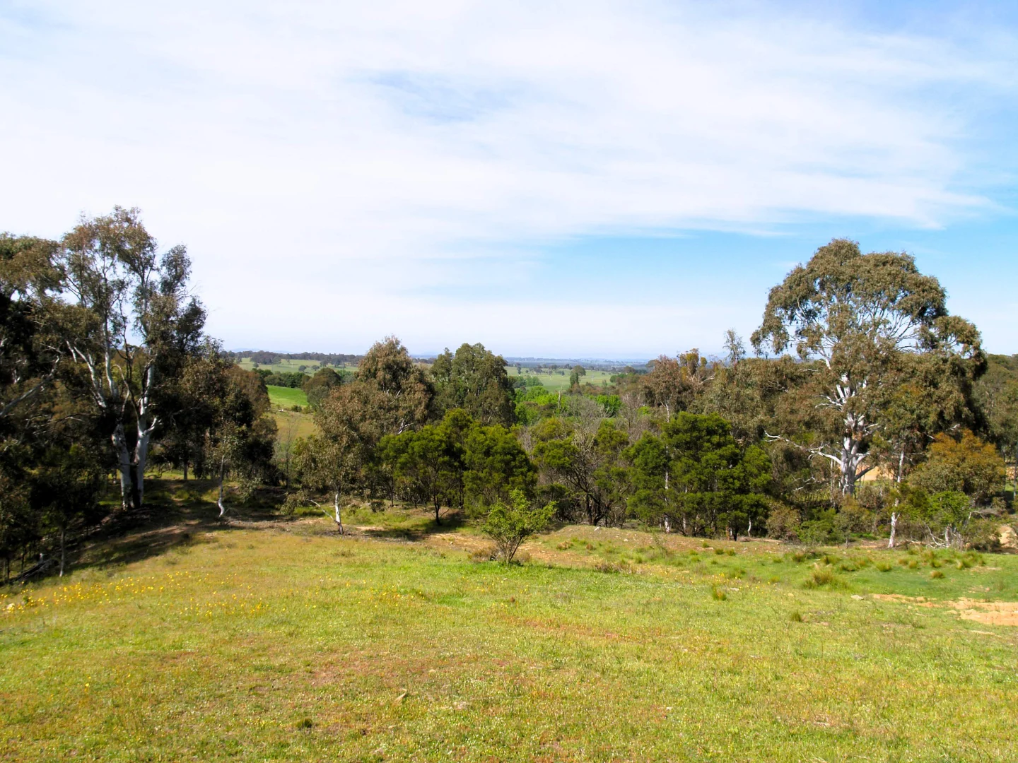 Additional image 8 of 198 Wurungul Lane, Gundaroo NSW 2620
