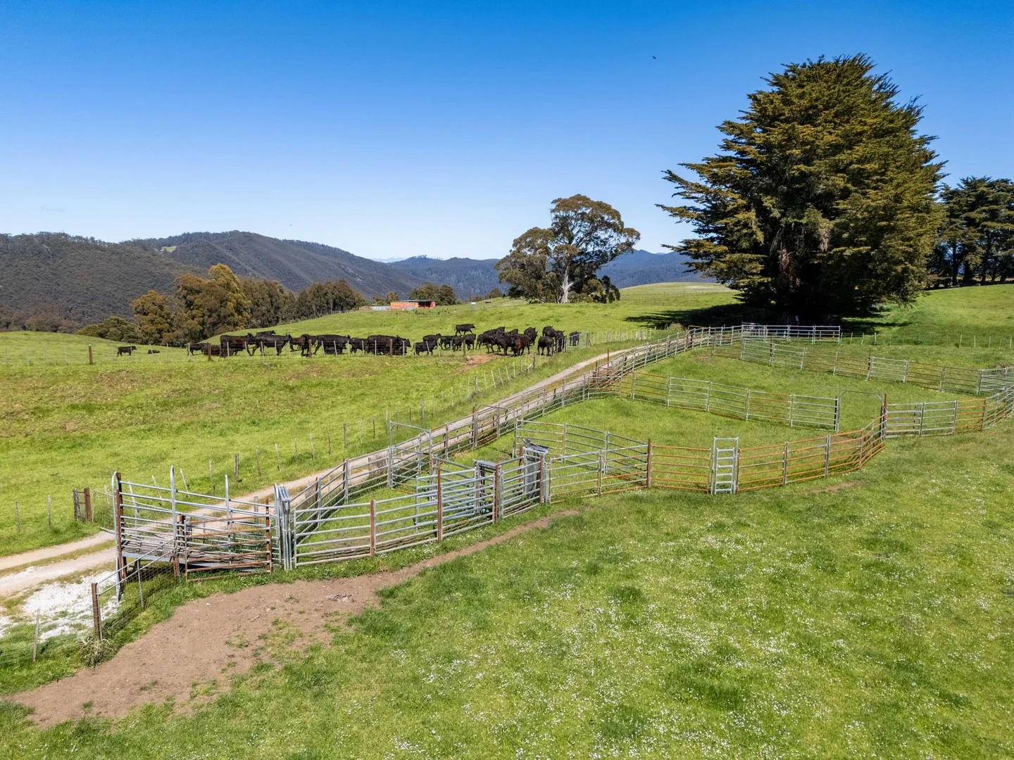 Additional image 5 of South Preston Road, South Preston TAS 7315