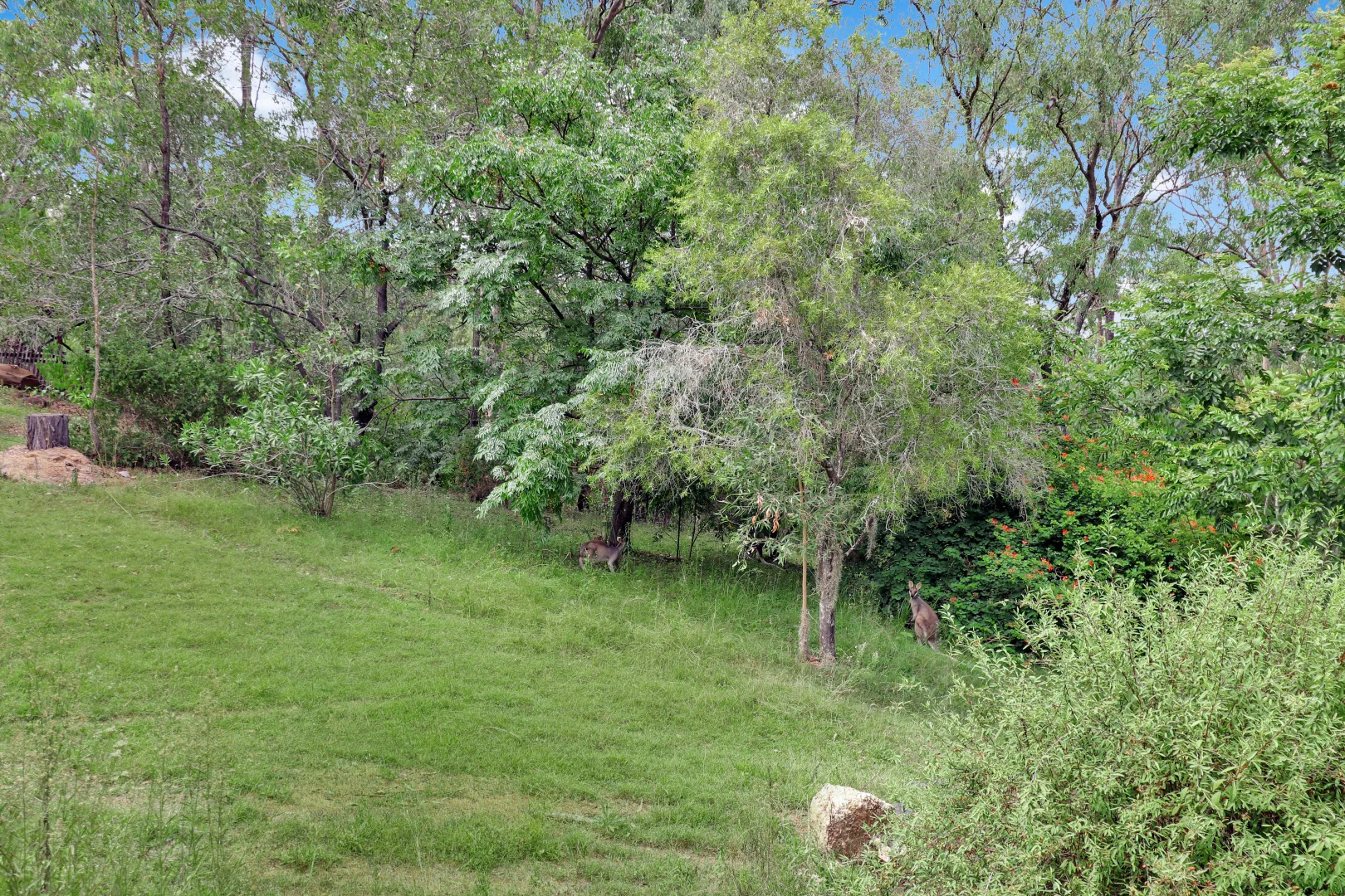 Additional image 24 of 60-62 White Place, Kooralbyn QLD 4285