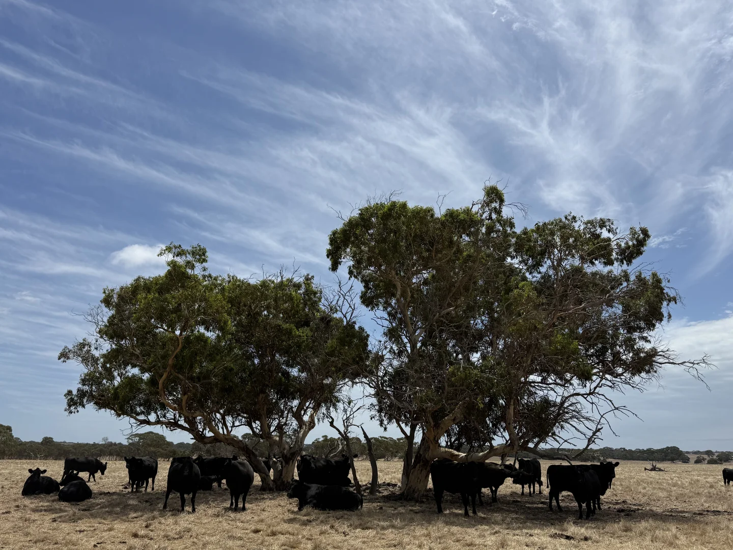Additional image 14 of 490 East West Two Highway, Seddon SA 5223
