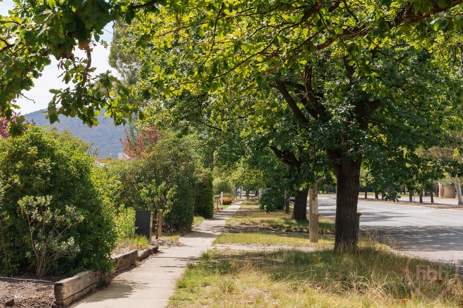 Additional image 26 of 159 Antill Street, Downer ACT 2602