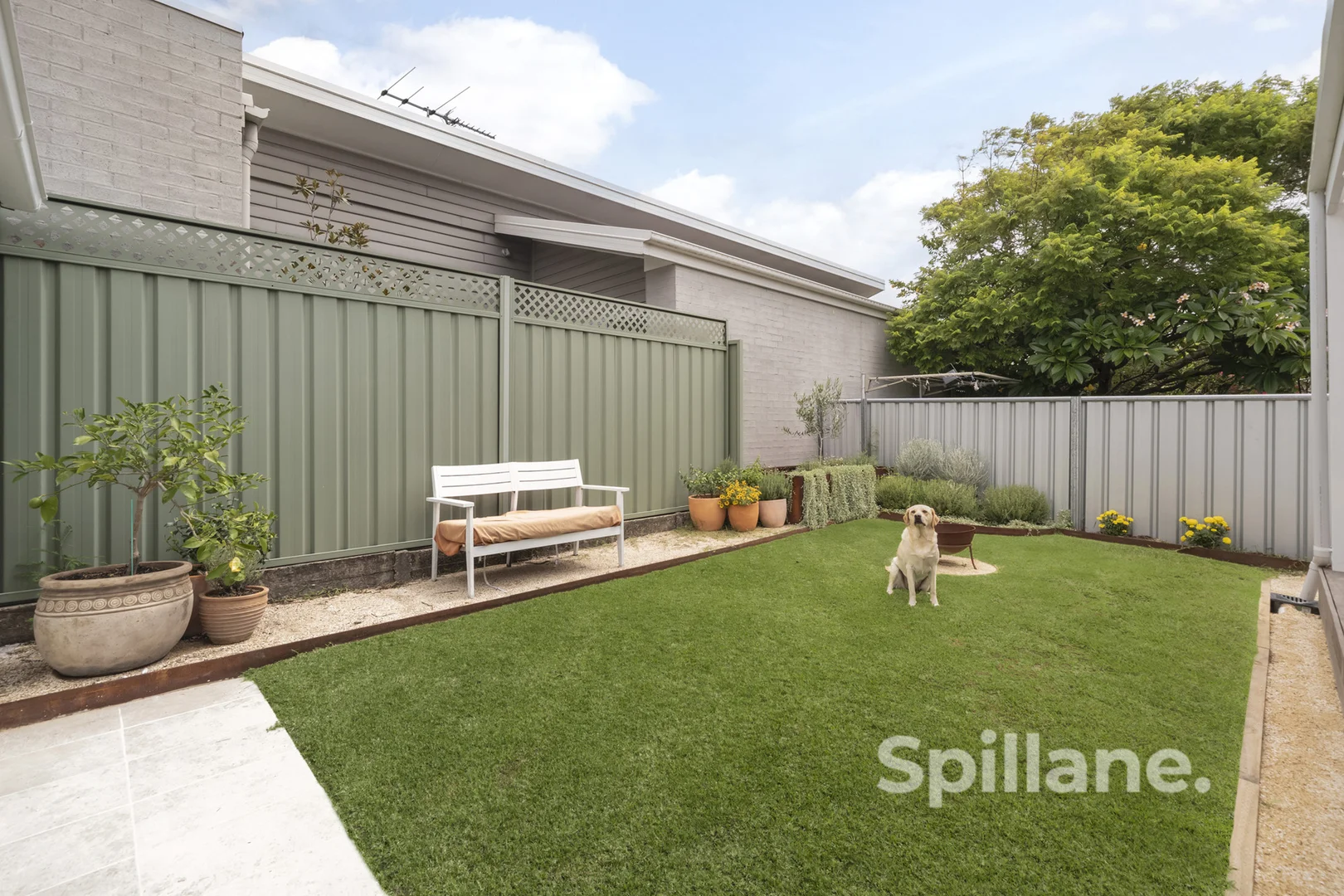 Additional image 16 of 7 Edward Street, Georgetown NSW 2298