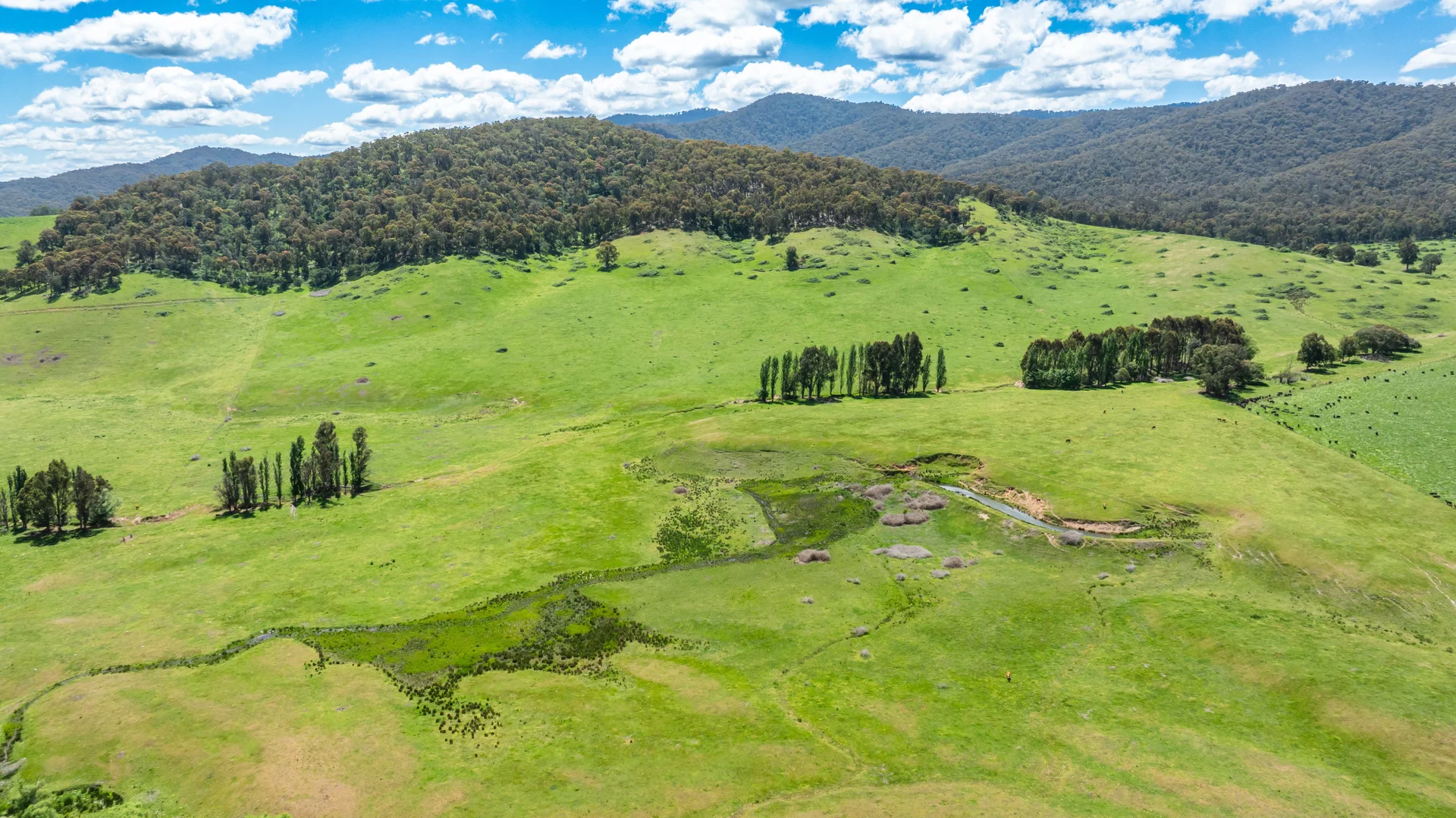 Additional image 16 of 'Grassmere'/2485 Tallangatta Creek Rd, Tallangatta Valley VIC 3701