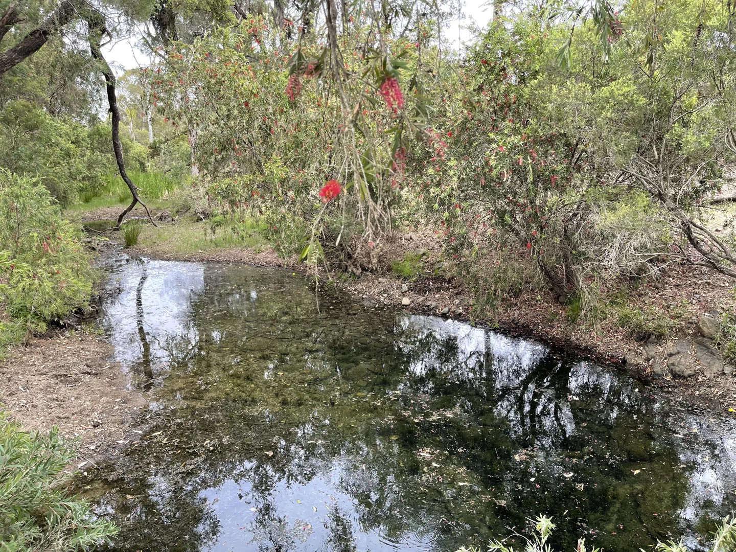 Additional image 18 of 4900 Tableland Road, Tablelands QLD 4680