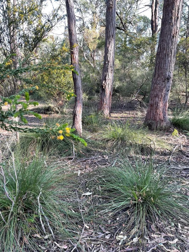 Additional image 3 of . South Gippsland Highway, Woodside VIC 3874