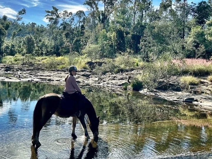 Additional image 26 of 29 Gladrose Crescent, Wongawallan QLD 4210