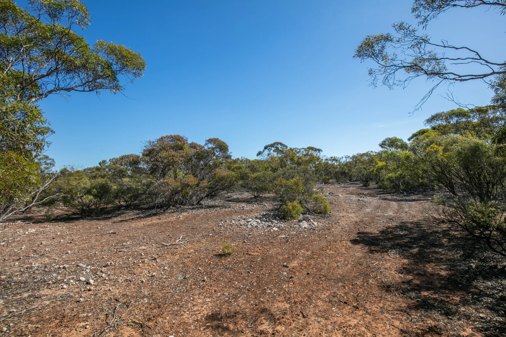 Additional image 5 of Lot 102 Green Road, Ettrick SA 5253
