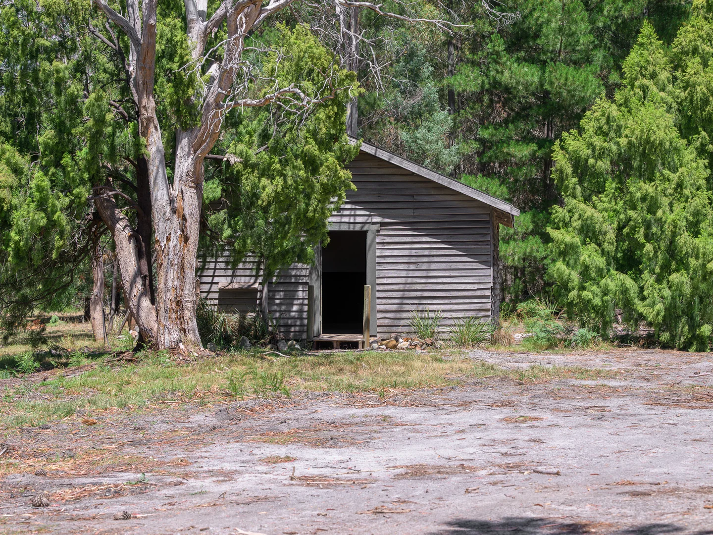 Additional image 25 of 169 Tully Street, St Helens TAS 7216