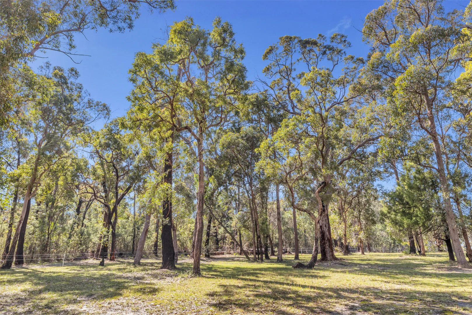 Additional image 23 of 3 Sylvia Court, Mallacoota VIC 3892