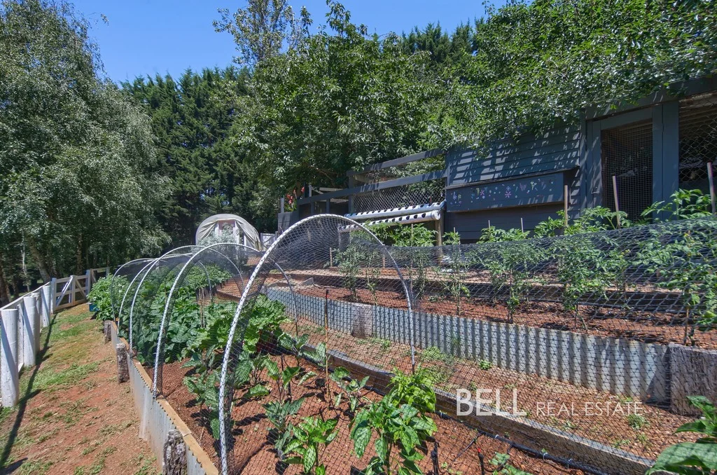 Additional image 18 of 74 Beenak Road, Gembrook VIC 3783