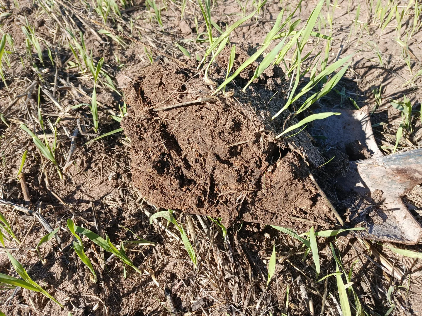 Additional image 9 of 1100 Propodollah Road, Nhill VIC 3418