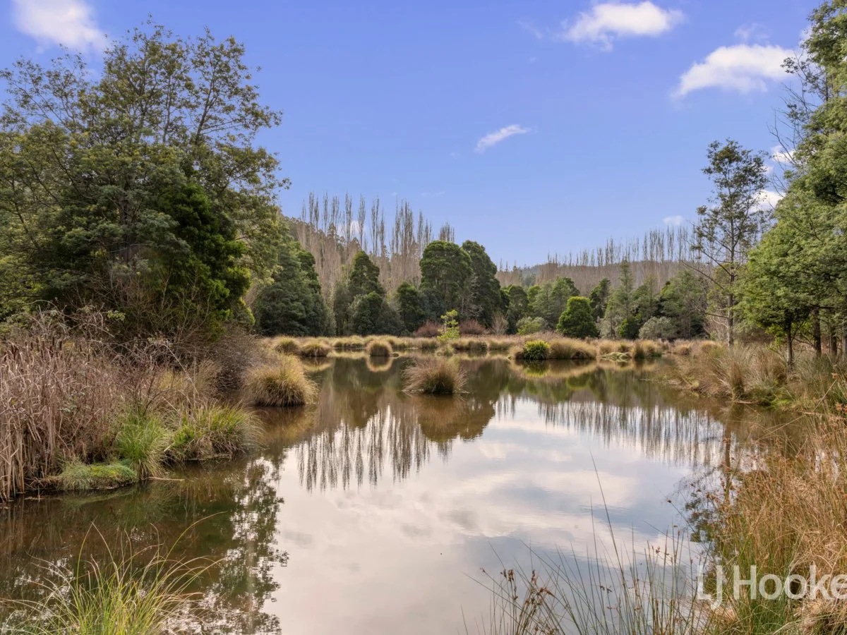 Additional image 21 of 10/13 Junee Road, Maydena TAS 7140