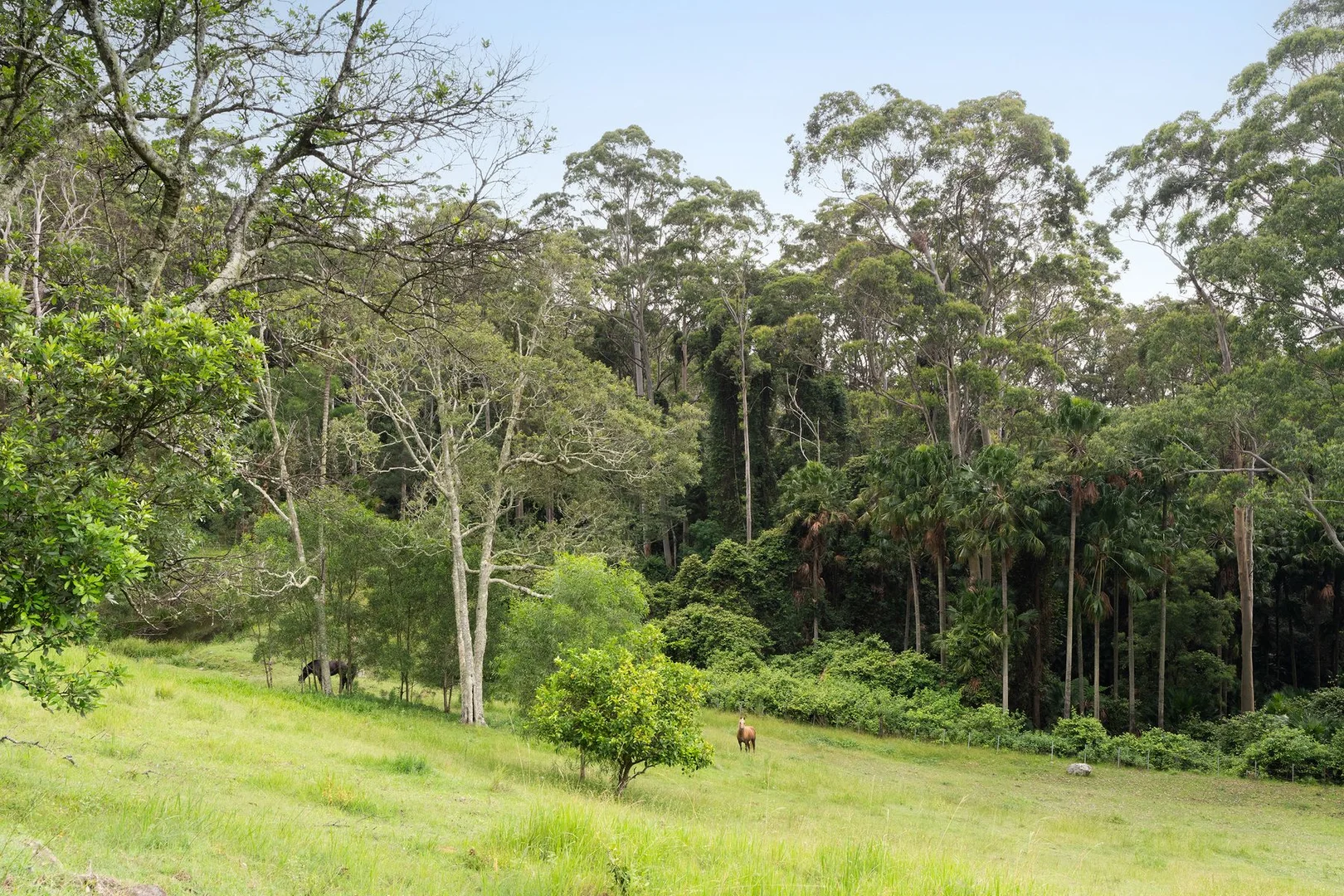 Additional image 32 of 675 The Ridgeway, Tumbi Umbi NSW 2261