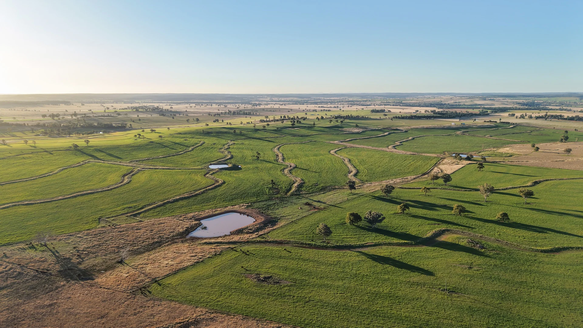 Additional image 2 of 38 Tallawonga Road, Elong Elong NSW 2831