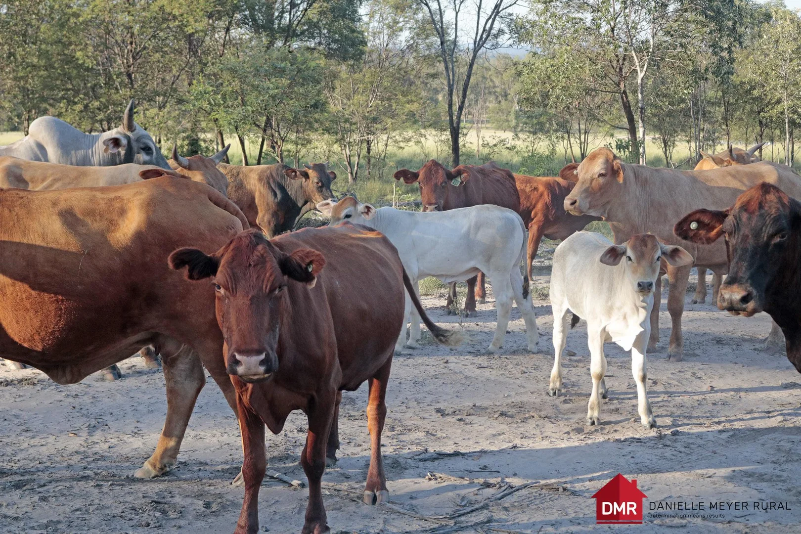 Additional image 35 of 24754 Burnett Highway, Ceratodus QLD 4627