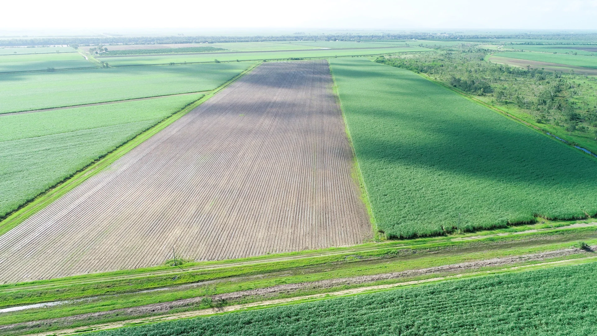 Additional image 9 of Kirknie QLD 4806